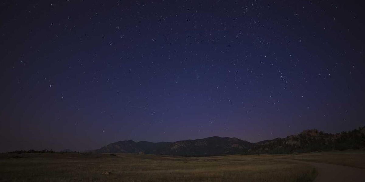 Explore Open Seas: Discover Scout Fishing Boats