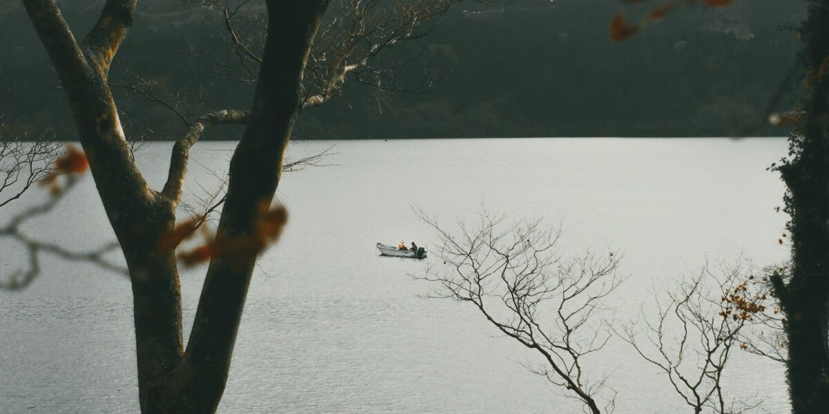 Reservoir Fishing: Corps of Engineers Lakes With the Biggest Fish
