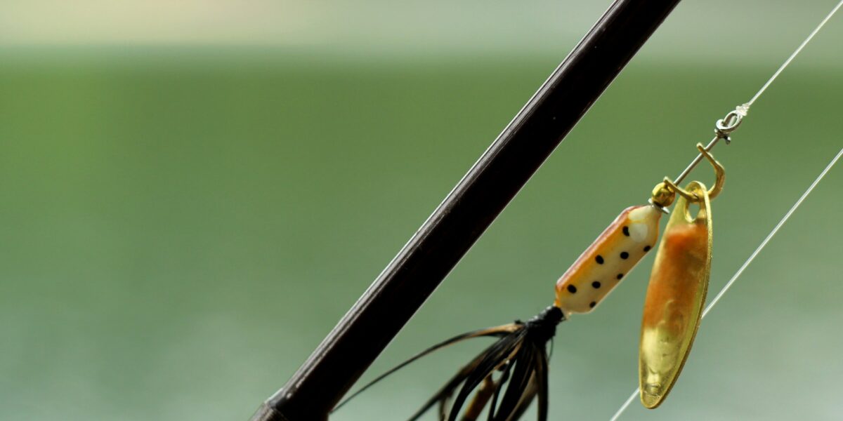 Pond Fishing Tips: How to Catch More Fish in Small Waters