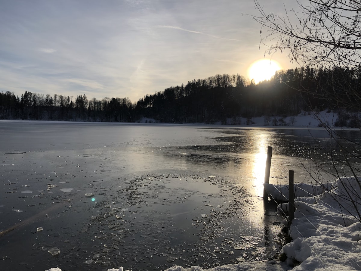 Frozen lake with trees and sunset in winter