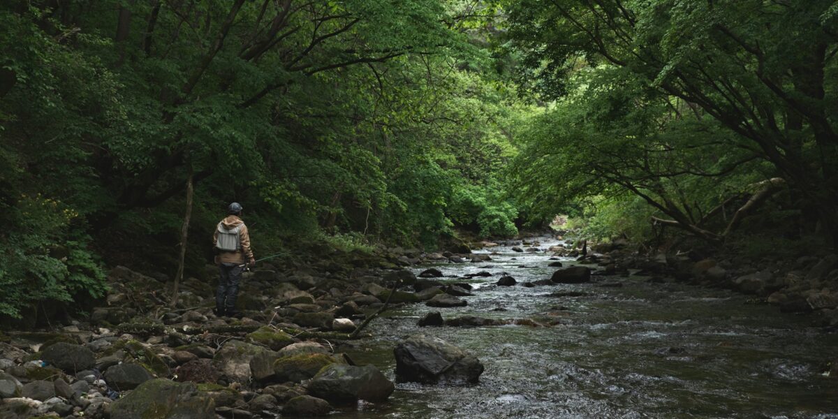 Walking-Distance Fishing Spots That Actually Produce
