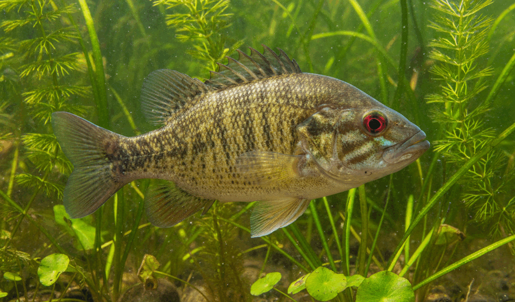 img 6fabb8ea 20260224 062004