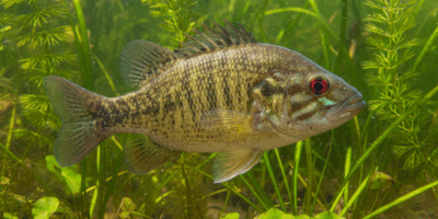 img 6fabb8ea 20260224 062004