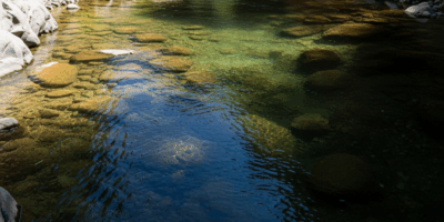 Why Trout Stop Biting at Midday and How to Fix It