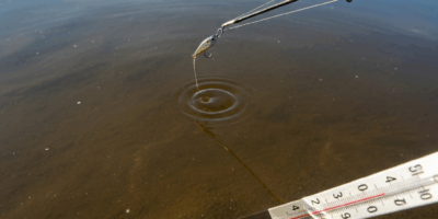 Why Bass Wont Bite in Cold Water and How to Fix It
