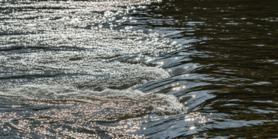 How to Read a River for Freshwater Fish Fast