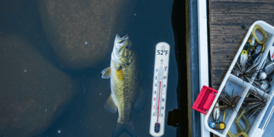 Why Smallmouth Bass Wont Bite in Spring